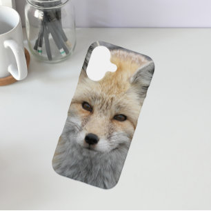 Schattige Red Fox Wildlife Foto iPhone 16 Hoesje