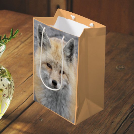Schattige Red Fox Wildlife Foto Medium Cadeauzakje