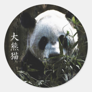 Schattige Reuzenpanda Beer met lekkere Bamboe Blad Ronde Sticker
