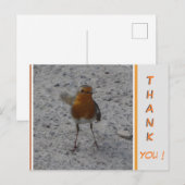 Schattige Robin HARTELIJKE DANK postkaart (Voorkant / Achterkant)