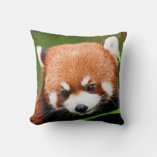 Schattige Rode Panda Kussen