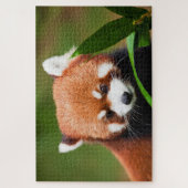 Schattige Rode Panda Legpuzzel (Verticaal)