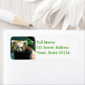 Schattige rode panda mailinglabels etiket (Insitu)