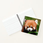Schattige Rode Panda Notitieboek (Binnen)
