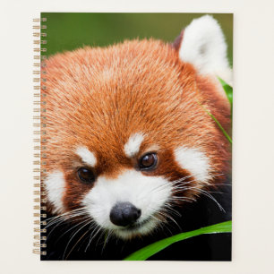 Schattige Rode Panda Planner