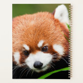 Schattige Rode Panda Planner (Achterkant)