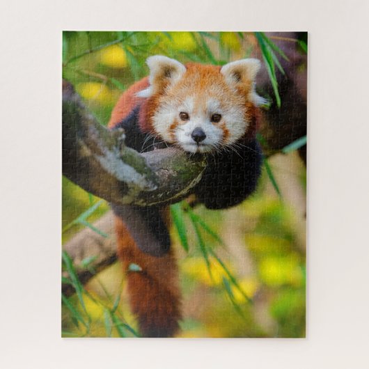 Schattige Rode Panda Puzzle Legpuzzel (Verticaal)