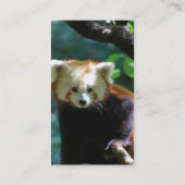 Schattige Rode Panda-Visitekaartjes Visitekaartje (Achterkant)