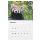 Schattige rode panda's 2026 kalender (Jan 2026)