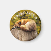 Schattige Rode Vos Rustend op Boomstronk Magneet (Voorkant)