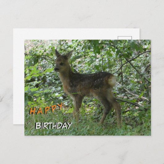 Schattige Roe Deer in Forrest Cust. Verjaardag Bri Briefkaart (Voorkant / Achterkant)