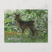 Schattige Roe Deer in Forrest Cust. Verjaardag Bri Briefkaart (Voorkant)