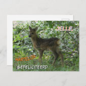 Schattige Roe Deer in het Forrest Birthday Briefka Briefkaart (Voorkant / Achterkant)
