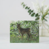 Schattige Roe Herten in het Forrest DIY Briefkaart (Staand voorkant)