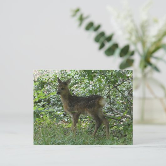 Schattige Roe Herten in het Forrest DIY Briefkaart (Staand voorkant)
