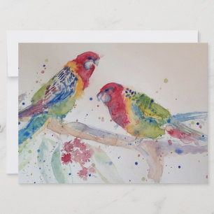 Schattige Rood Rosella Papegaai vogel Aquarel Kuns