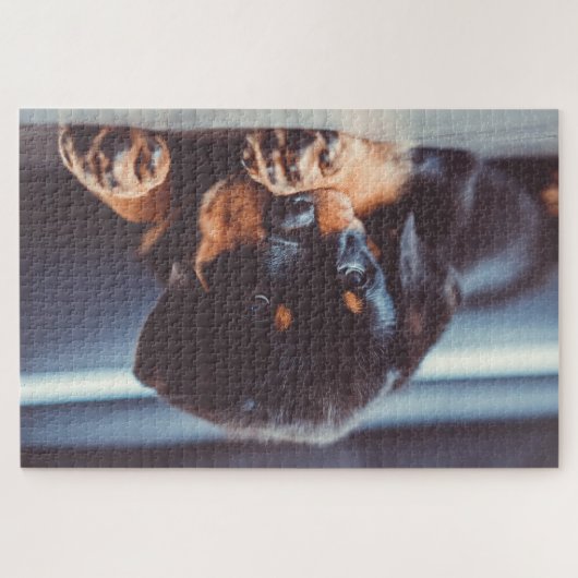 Schattige rottweiler Puppy Dog Resting Legpuzzel (Horizontaal)