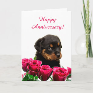 Schattige Rottweiler Puppy Roos Jubileum Kaart