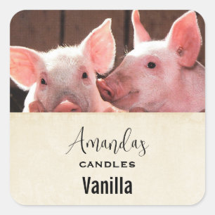 Schattige Roze Biggetjes Dierenfoto Kaars Craft Vierkante Sticker