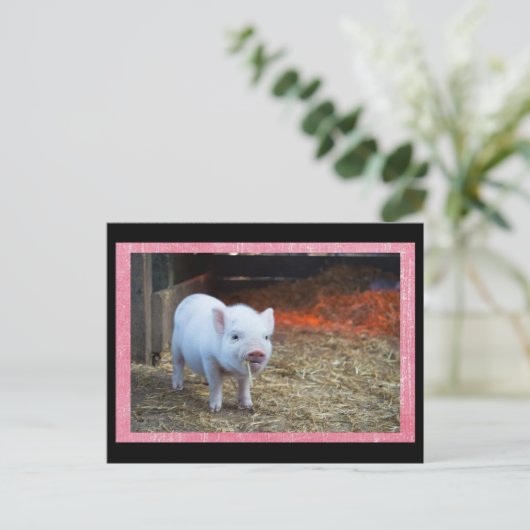 Schattige Roze Piglet Postcrossing Briefkaart (Staand voorkant)