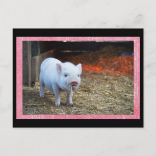 Schattige Roze Piglet Postcrossing Briefkaart