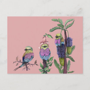 Schattige Roze Waterverf African Bird Illustratie Briefkaart