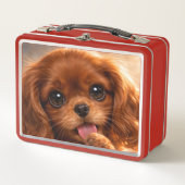 Schattige Ruby Cavalier Spaniel (Voorkant)
