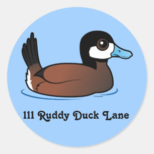 Schattige Ruddy Duck adreslabel Ronde Sticker