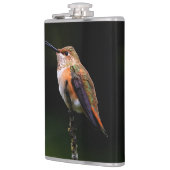 Schattige Rufous Hummingbird op Branch Heupfles (Links)