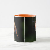 Schattige Rufous Hummingbird op Branch Mok (Midden)