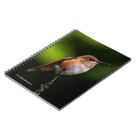 Schattige Rufous Hummingbird op Branch Notitieboek (Linkerzijde)