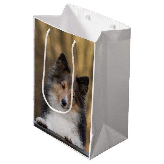 Schattige Sable Sheltie, Shetland Sheepdog Medium Cadeauzakje (Voorkant Gekanteld)