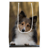 Schattige Sable Sheltie, Shetland Sheepdog Medium Cadeauzakje (Achterkant)