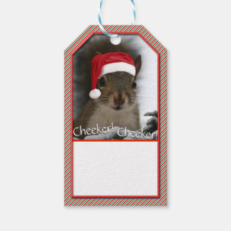 Schattige Santa Squirrel™ Draag Santa Hat Cadeaulabel