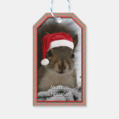 Schattige Santa Squirrel™ Draag Santa Hat Cadeaulabel (Achterkant)