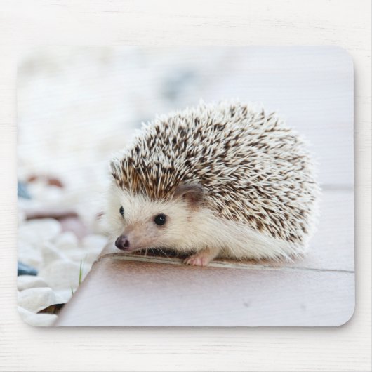 schattige schattige baby egel muismat (Voorkant)