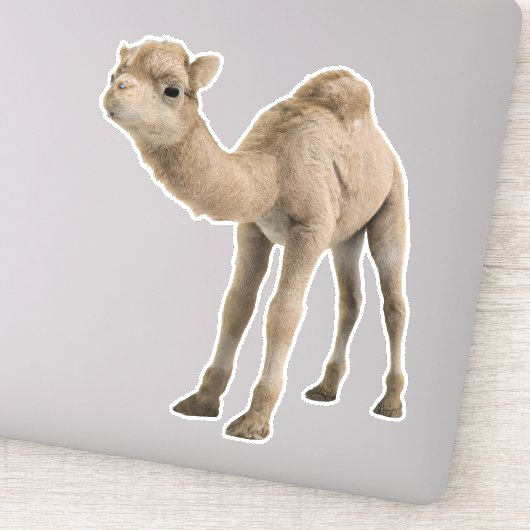 Schattige Schattigee Baby Camel Sticker - (Detail)