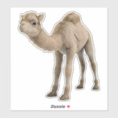 Schattige Schattigee Baby Camel Sticker - (Vel)