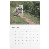 Schattige Schattigee honden en Puppies Fotografie Kalender (Mar 2026)