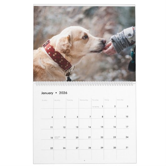 Schattige Schattigee honden en Puppies Fotografie Kalender (Jan 2026)