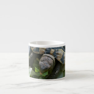 Schattige Schildpad Espresso Kop