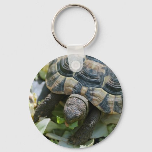 Schattige Schildpad Sleutelhanger (Voorkant)