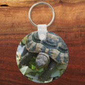 Schattige Schildpad Sleutelhanger (Voorkant)