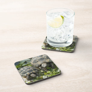 Schattige schildpadden drankjes onderzetter