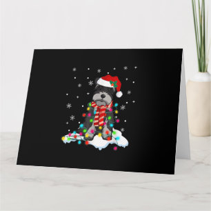 schattige schnauzer kerstverlichting met kerstman kaart