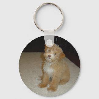 Schattige schnoedelpuppy sleutelhanger
