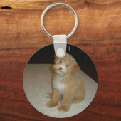 Schattige schnoedelpuppy sleutelhanger (Voorkant)
