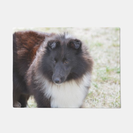 Schattige Sheltie Deurmat (Voorkant)