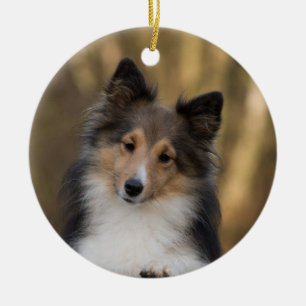 Schattige Sheltie Keramisch Ornament