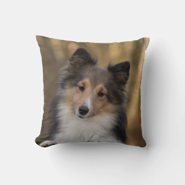 Schattige Sheltie Kussen (Voorkant)